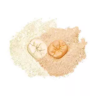 Skyrock Iv Plâtre Extra-Dur  - Dentify - 01-139