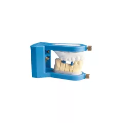 Articulateur Pour Mordu Cup Bleu - Eurodentis - 11-620