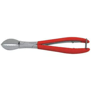 Pince A Platre Prodont Holliger - Acteon Prodont Holliger - 12-079