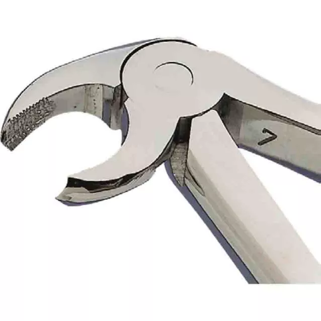 Davier Adultes N°22 Stries Kent Dental - 16-132 Davier Adultes N°22 Stries Kent Dental - 16-132