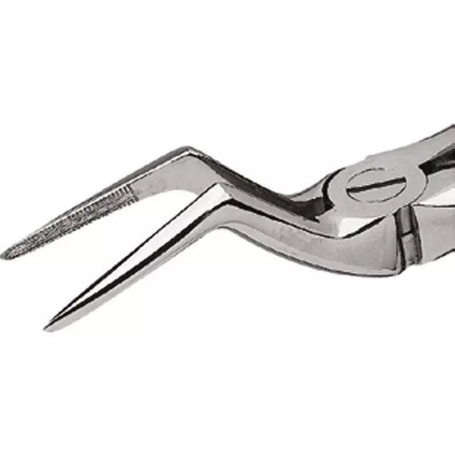 Davier Adultes N°51Lx Stries Kent Dental - 16-136 Davier Adultes N°51Lx Stries Kent Dental - 16-136