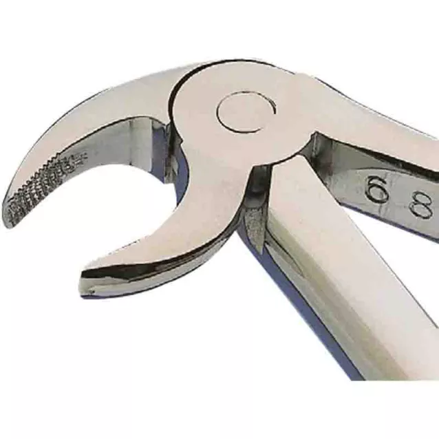 Davier Adultes N°13 Stries Kent Dental - 16-137 Davier Adultes N°13 Stries Kent Dental - 16-137