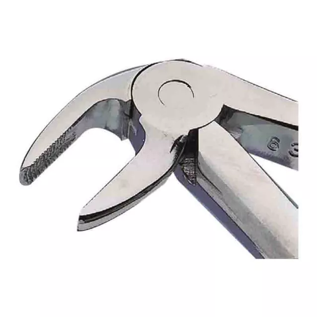 Davier Adultes N°33 Mors Stries Kent Dental - 16-138 Davier Adultes N°33 Mors Stries Kent Dental - 16-138