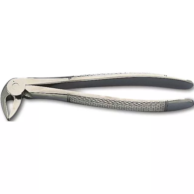 Davier Adultes N°33 Mors Quadrilles Kent Dental - 16-145 Davier Adultes N°33 Mors Quadrilles Kent Dental - 16-145