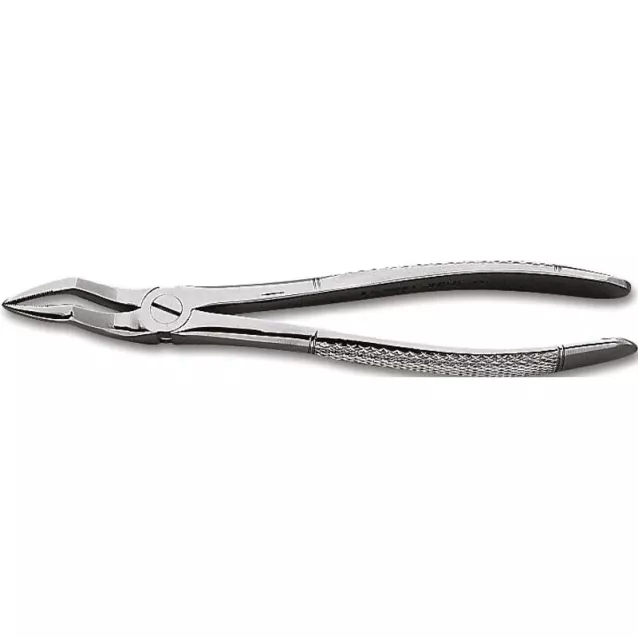 Davier Adultes N°51 Mors Quadrilles Kent Dental - 16-151 Davier Adultes N°51 Mors Quadrilles Kent Dental - 16-151