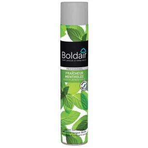 Boldair Parfumes Aerosol - Menthe - 53-262