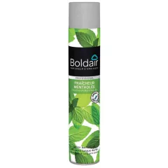 Boldair Parfumes Aerosol - Menthe - 53-262
