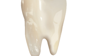 Service Dents CAP Dentaire