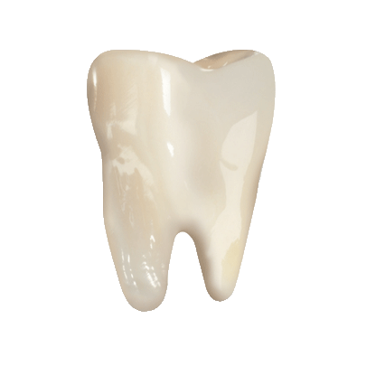 Service Dents - CAP Dentaire