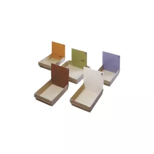 Plaques De Programmation Kavo Ambre (10) - Kavo Plaques De Programmation Kavo Ambre (10) - Kavo