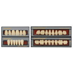 Dents GNATHOSTAR - Ivoclar Dents GNATHOSTAR - Ivoclar