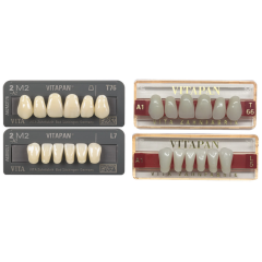 Dents VITAPAN - Vita