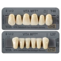 Dents VITA MFT 3D -MASTER - Vita Dents VITA MFT 3D -MASTER - Vita