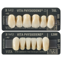 Dents VITA PHYSIODENS 3D MASTER - Vita