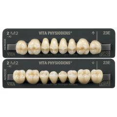 VITA PHYSIODENS 3D MASTER