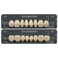VITA PHYSIODENS LINGOFORM 3D MASTER (x8)