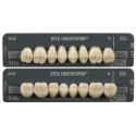 Dents VITA PHYSIODENS LINGOFORM 3D MASTER (x8) - Vita