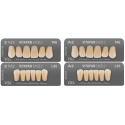 Dents VITAPAN EXCELL - Vita