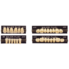 Dents MAJOR PLUS - Major Dents MAJOR PLUS - Major