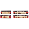 Dents MAJOR PLUS COMP - Major