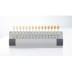 Teintier Labo Bleached Guide 3D-Master Vita - VITA - 08-4252