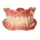 Ivotion Denture System Ivoclar ( Bibliothèques de dents Exocad)