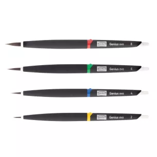 Lot Pinceaux Genius Evo (4) Lot Pinceaux Genius Evo (4)