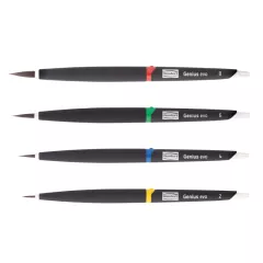 Lot Pinceaux Genius Evo (4)